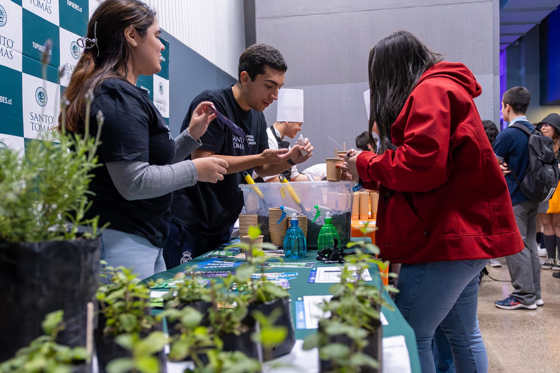 Stand de Aromaterapia en el Congreso HiveYoung